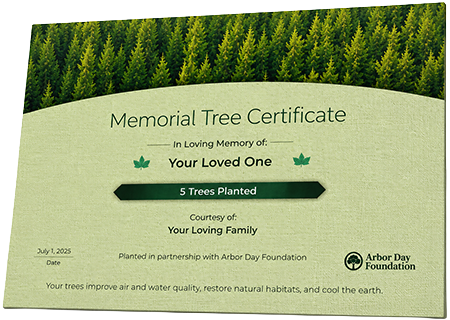 Plant Trees in Memory of Curtis Screen, Sr.